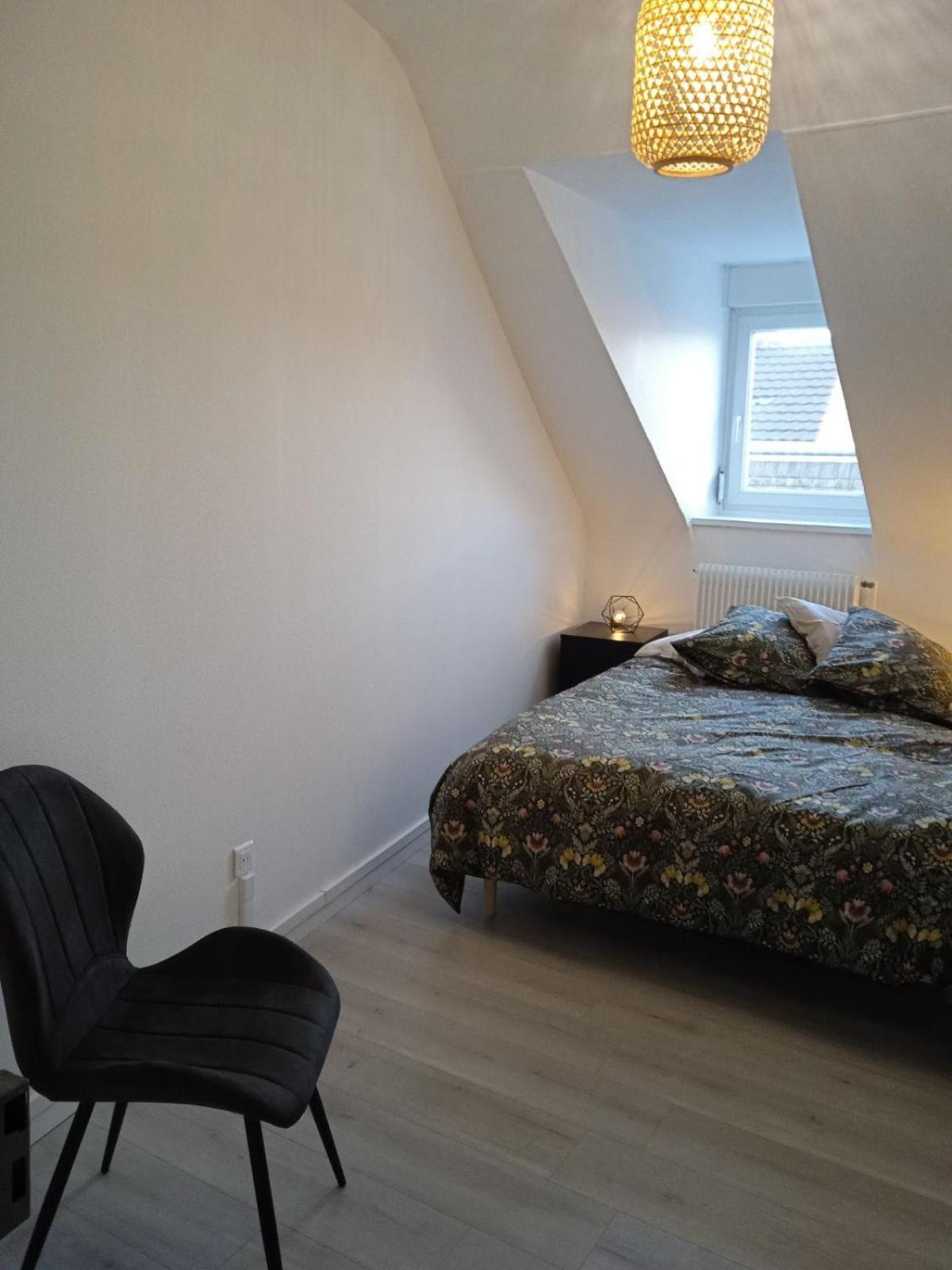 La Mulhousienne F3 Centre Ville 뮐루즈 외부 사진