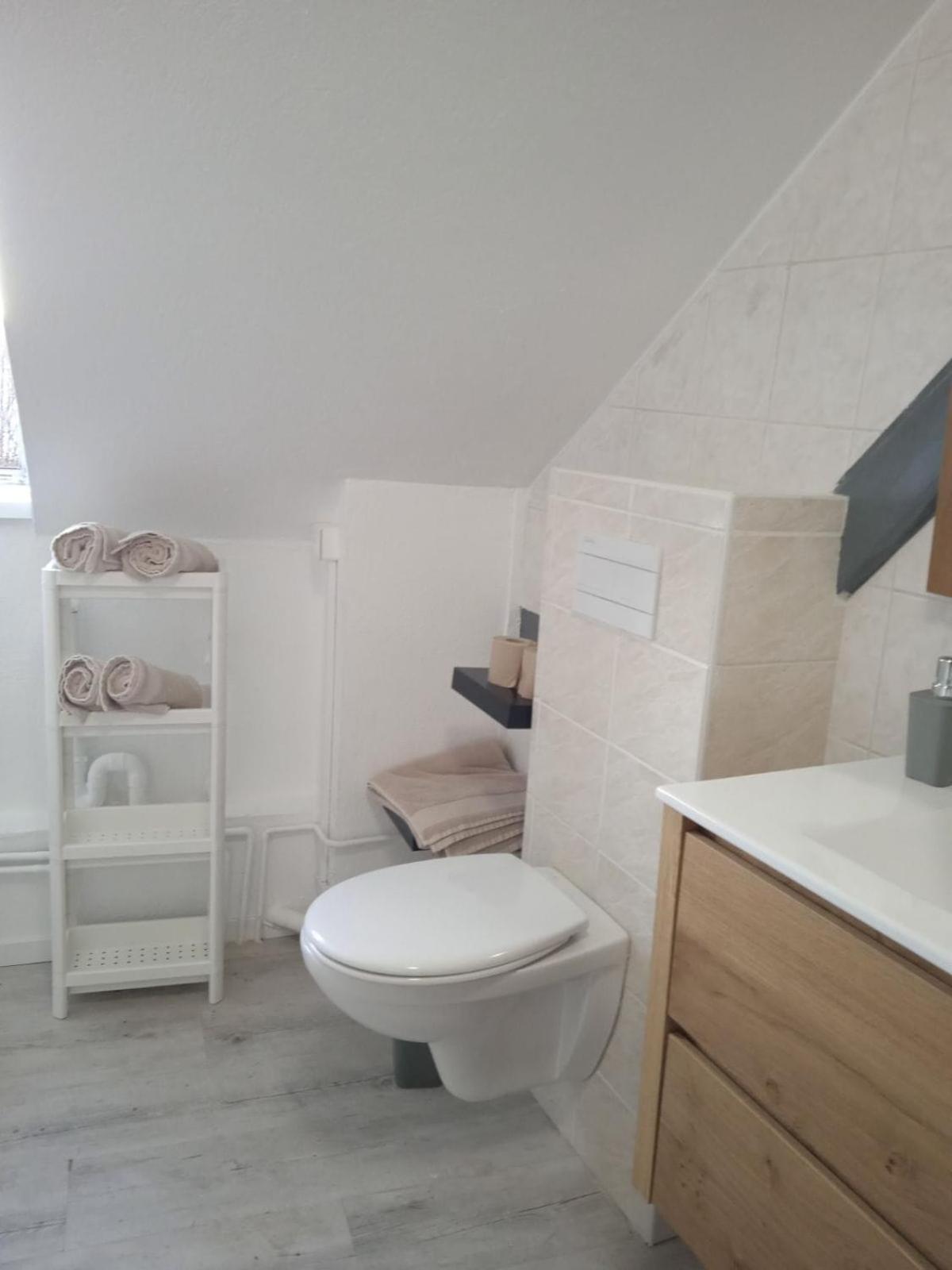 La Mulhousienne F3 Centre Ville 뮐루즈 외부 사진