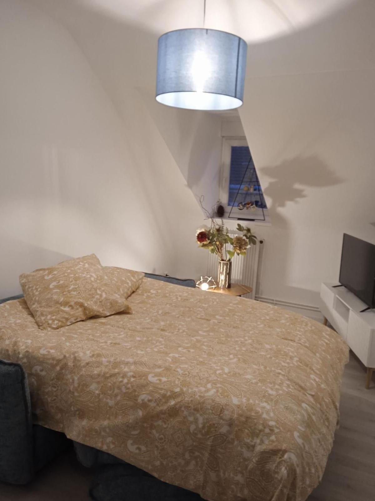 La Mulhousienne F3 Centre Ville 뮐루즈 외부 사진